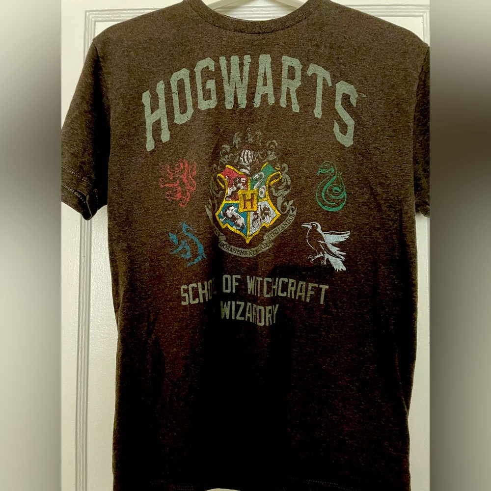 Harry Potter School of Wizardry t-shirt